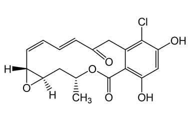 PA PHY 005018