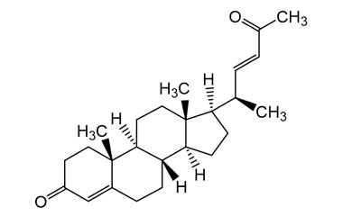 PA PHY 005021