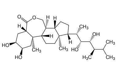 PA PHY 005029