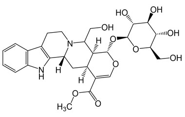 PA PHY 005042