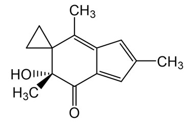 PA PHY 005043