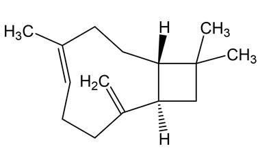 PA PHY 005052