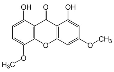 PA PHY 005055