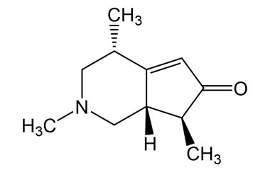 PA PHY 005057