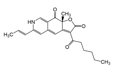 PA PHY 005066