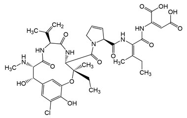 PA PHY 005072