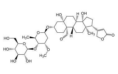 PA PHY 005080