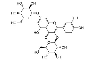 PA PHY 005086