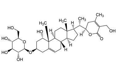 PA PHY 005090