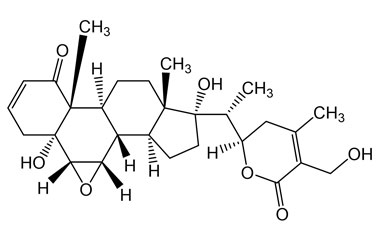 PA PHY 005091