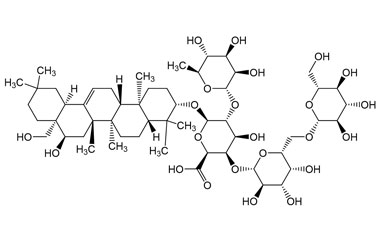 PA PHY 005095