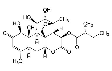 PA PHY 005096