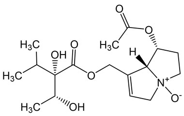 PA PHY 005099