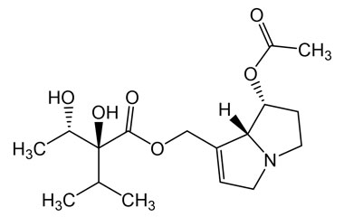 PA PHY 005100