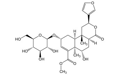 PA PHY 005102