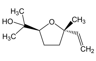 PA PHY 005107