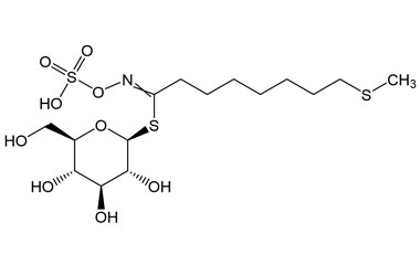 PA PHY 005131