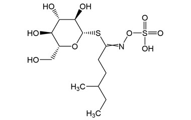 PA PHY 005137