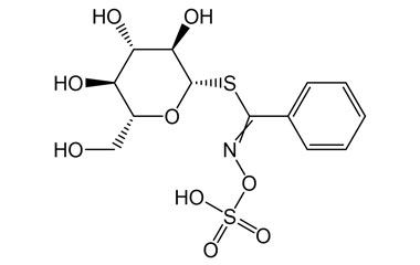 PA PHY 005139