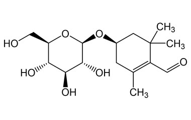 PA PHY 005140