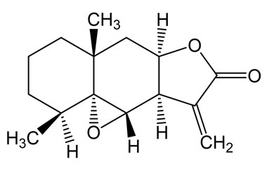 PA PHY 005144