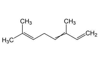 PA PHY 005148