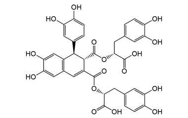 PA PHY 005154