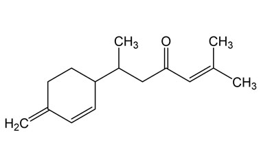 PA PHY 005155