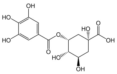 PA PHY 005162