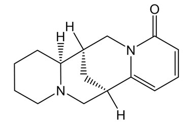 PA PHY 005189