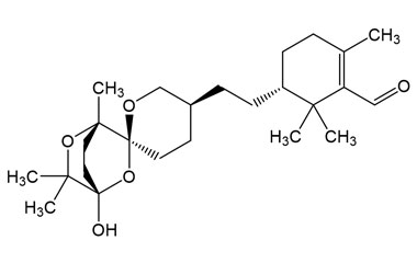 PA PHY 005197