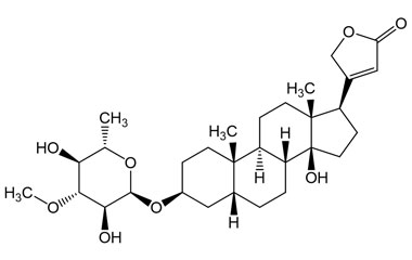 PA PHY 005248