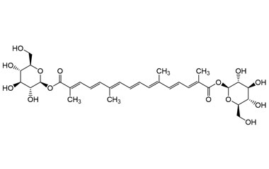 PA PHY 005255