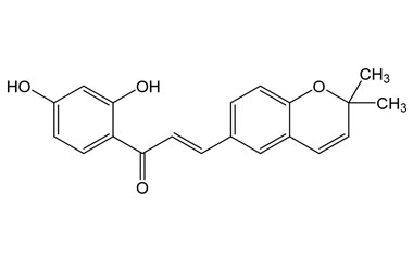 PA PHY 005271