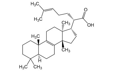 PA PHY 005272