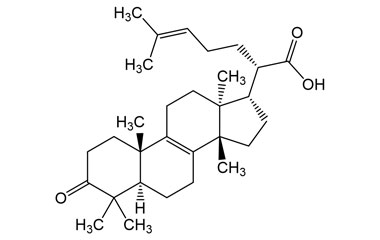 28282-25-9