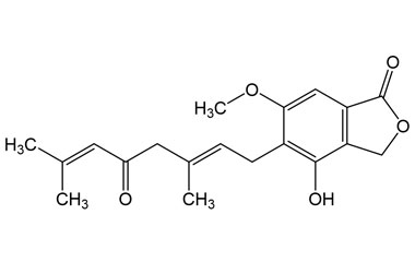 PA PHY 005275