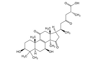PA PHY 005276