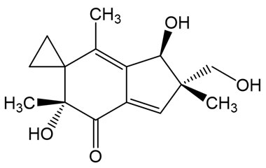 PA PHY 005282