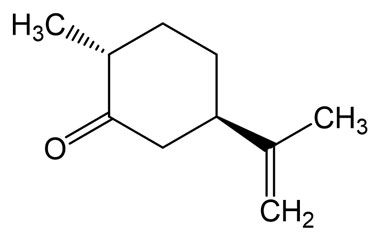 PA PHY 005283