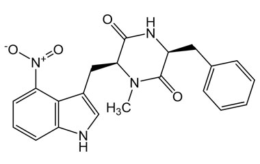 PA PHY 005297