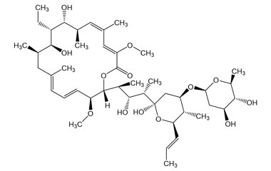 PA PHY 005299
