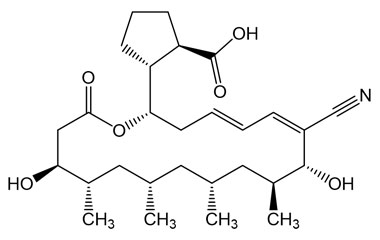 PA PHY 005300