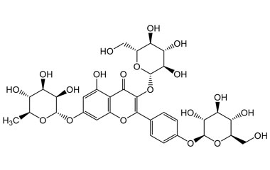 PA PHY 005321