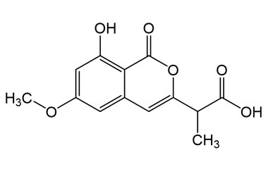 PA PHY 005323
