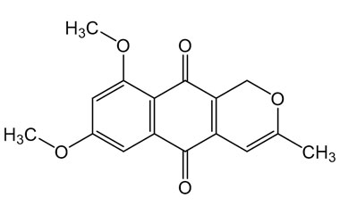 PA PHY 005324
