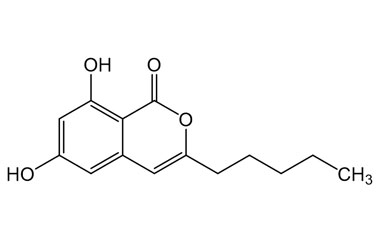 PA PHY 005330