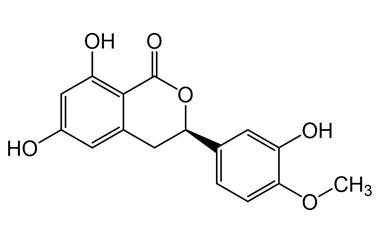 PA PHY 005333