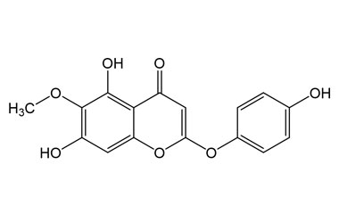 PA PHY 005335