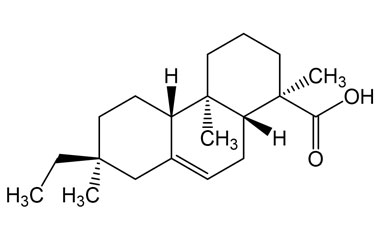 PA PHY 005356
